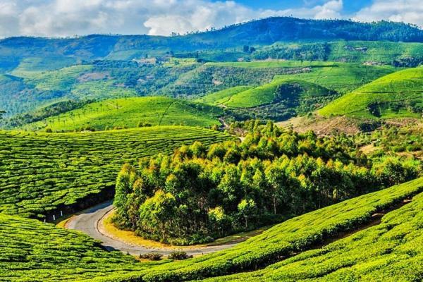 Blusalz Homes - One Lovedale, Ooty - Tamil Nadu מראה חיצוני תמונה